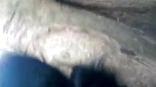 آخر میں کلیپ سکسی ترکی منہ - سب سے بہترین تحفہ کے لئے کام