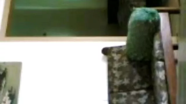 جنسی انیدوست چھاترالی فیلمسکسی ترکی میں