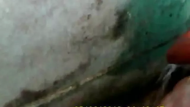 ننگے پاؤں سکس جدید ترکی شہوانی ، شہوت انگیز