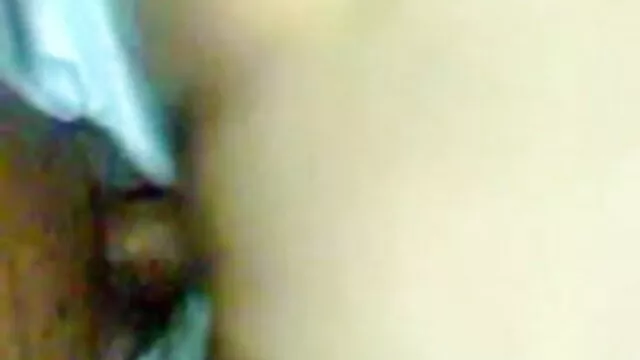 کیمرون ڈی ہے ایک جنگل میں سکس جدید ترکی چلنا