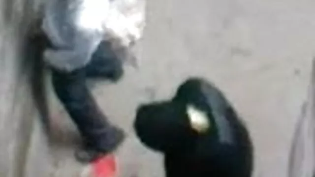 خوبصورت لڑکی سکس خفن ترکی اور بدترین جوڑے