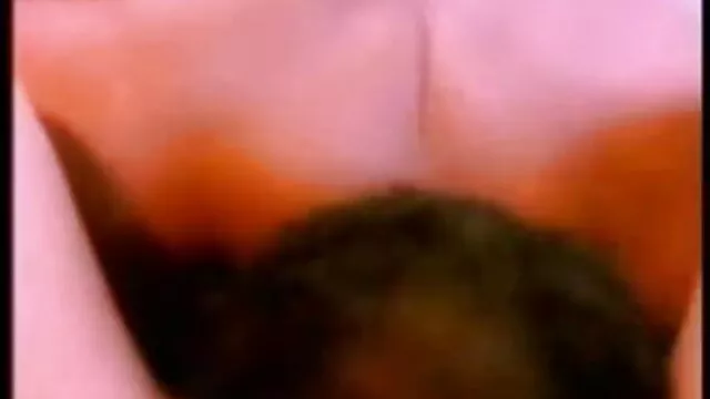 گائے کے ساتھ ساتھ اس کے چاہنے والوں کے فلم سگسی ترکی