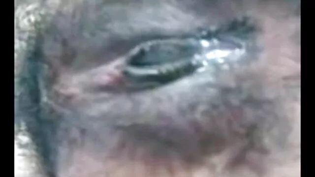ایشیائی ماں کے چہرے پر سہ سکسی ترکی کے ساتھ الہی