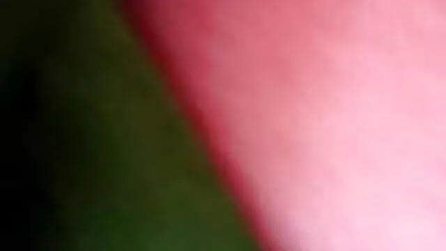 سیکرٹری دانلود سکس ترکی دانی ڈینیل سزا کیونکہ دستاویزات ہیں میلا
