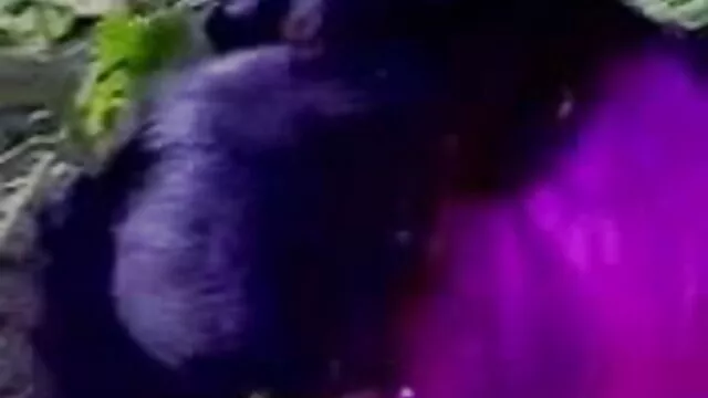 لڑکی کی رسیلی ملے گا جرابیں فیلم سکی ترکی میں آخر