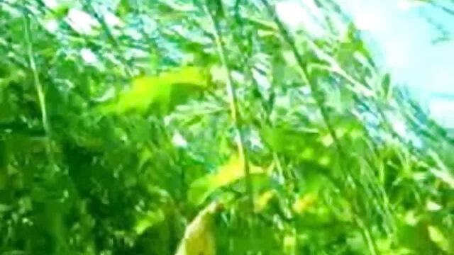 صرف ایک بیوکوف انکار فیلم سکسی ترکی کر دیں گے ، نپل تو!