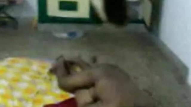 استاد کلیپ سکسی ترک نے بالغ کی طرف سے طلاق کے طالب علموں کے لئے جنسی