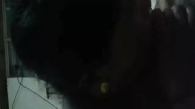 سیاہ جوڑے ، ہوم ویڈیو کلیپ سکسی ترک ریکارڈنگ