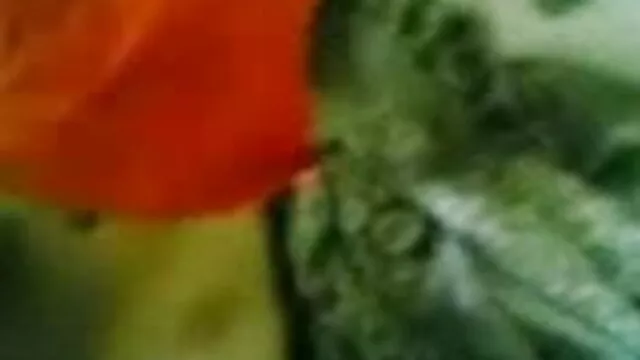 براہ راست جاپانی سکس گی ترکی ٹرینوں بٹ کے ساتھ ایک آدمی