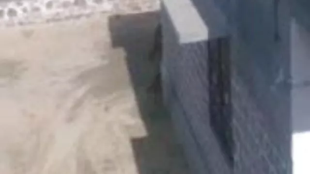 پر آنے کے افلام سکس ترکی مردوں-نہیں مجھے نیچے!