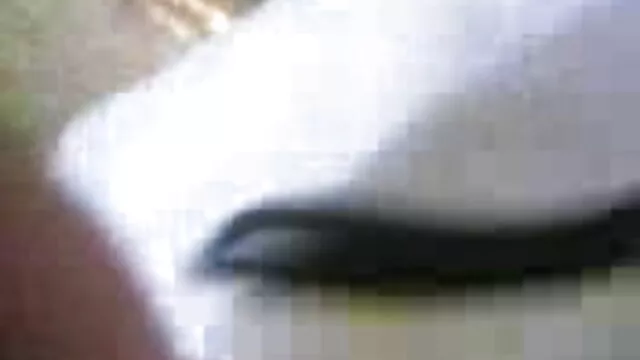 جاپان مل دانلود سکس ترکی گیا انعام اندام نہانی میں نہیں منڈوا