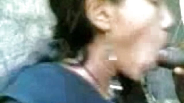 Ofigela سے سنہرے بالوں والی لنک سکی ترکی کے ارکان کی موٹی